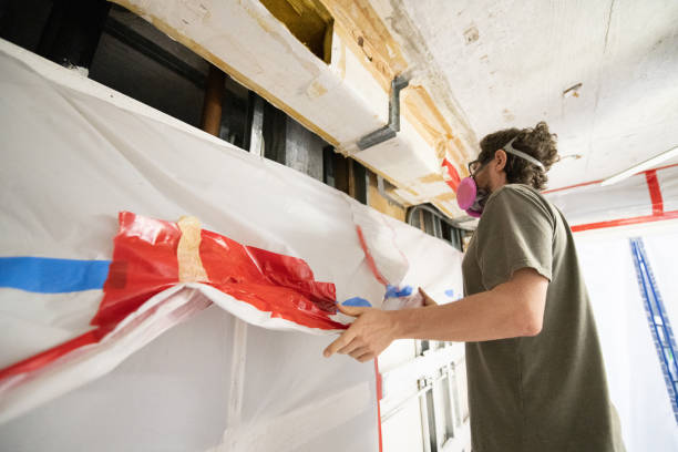 Best Mold Damage Restoration  in Pelion, SC