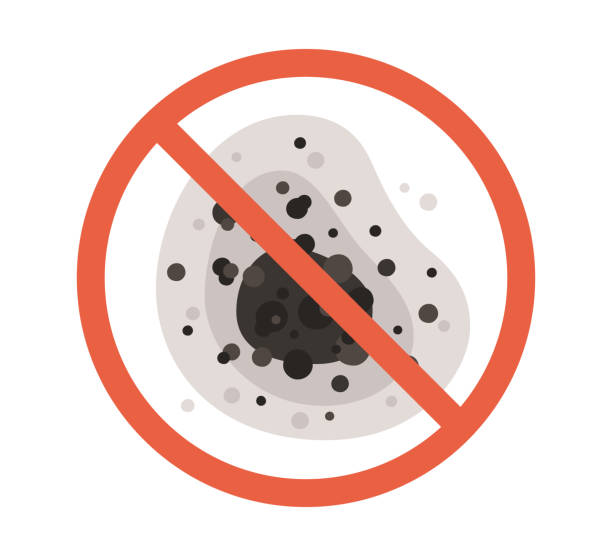 Best Mold-Related Health Consultation  in Pelion, SC