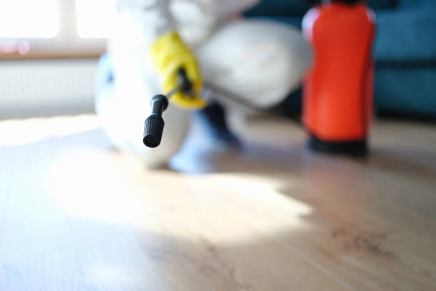  Pelion, SC Mold Removal Pros