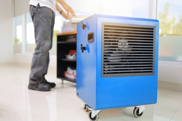 Best Air Quality Testing for Mold Spores  in Pelion, SC