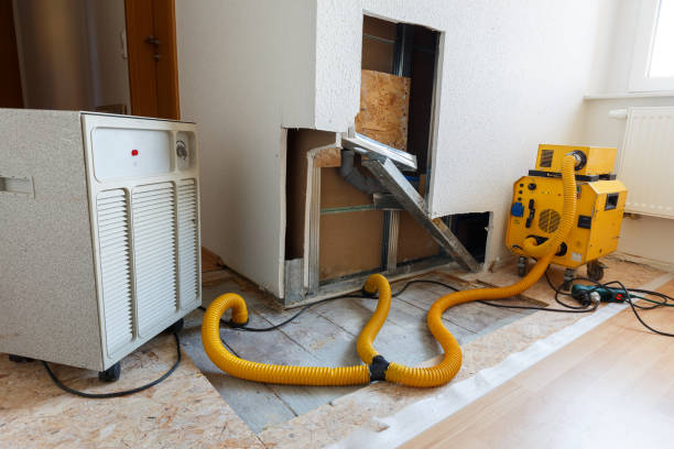Best Post-Construction Mold Inspection  in Pelion, SC
