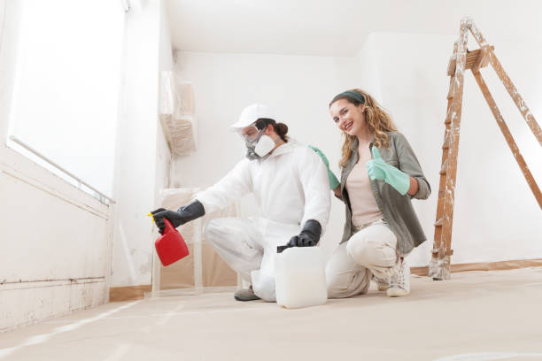 Professional Mold Removal in Pelion, SC