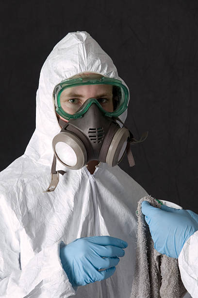 Best Mold Documentation for Insurance Claims  in Pelion, SC